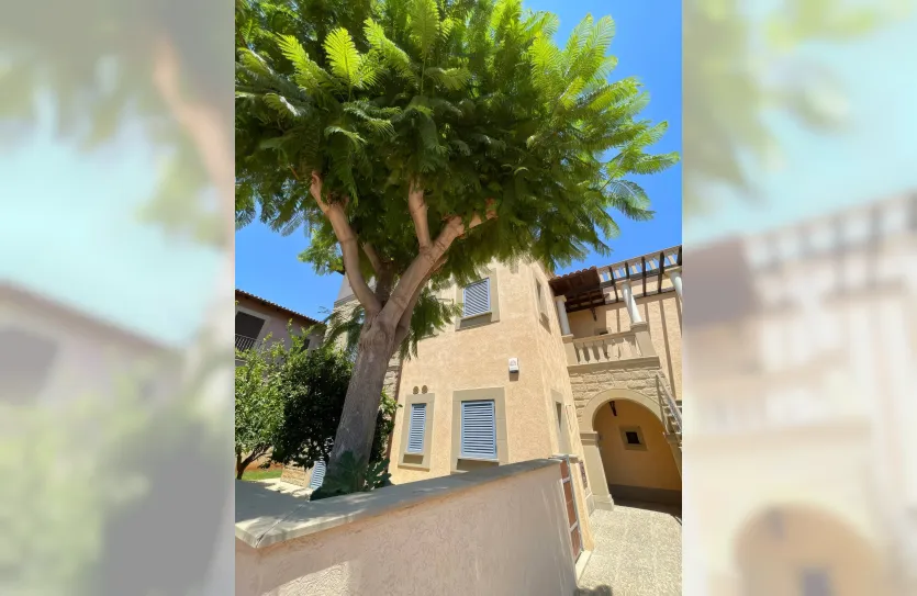 5-bedroom villa - 14842, photo 12