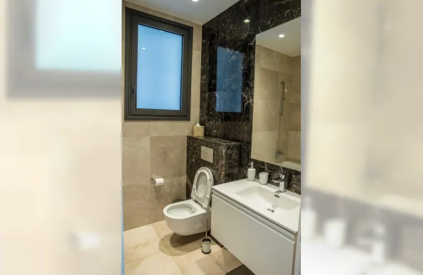 3-bedroom penthouse - 13214, photo 8