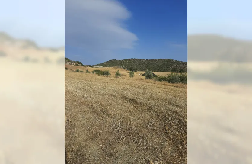 Plot - 14740, photo 9