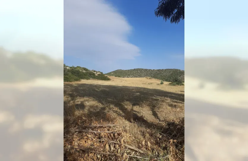 Plot - 14740, photo 8