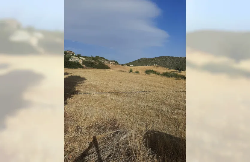 Plot - 14740, photo 6