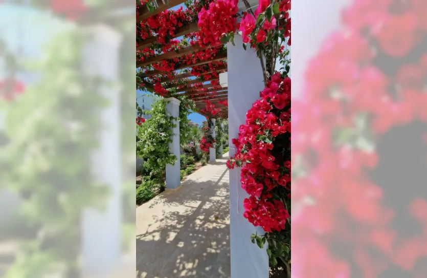 3-bedroom apartment - 15039, photo 27