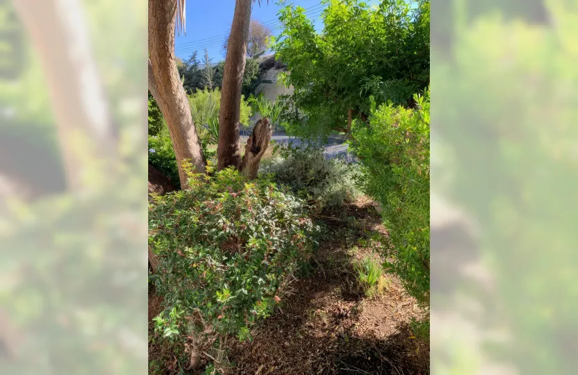 4-bedroom villa - 15223, photo 16