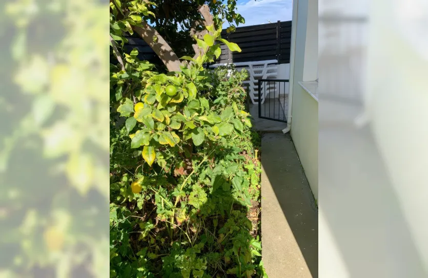 4-bedroom villa - 15223, photo 14