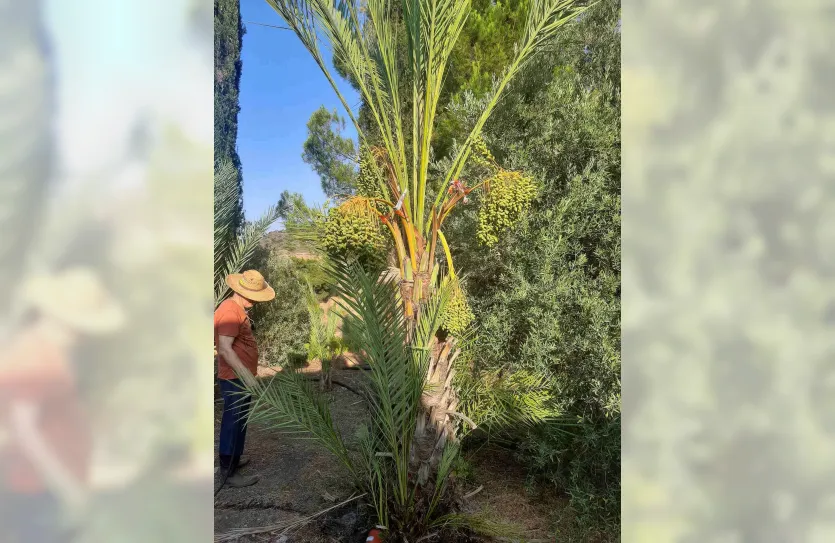 Дом с 1-ой спальней - 15417, photo 5