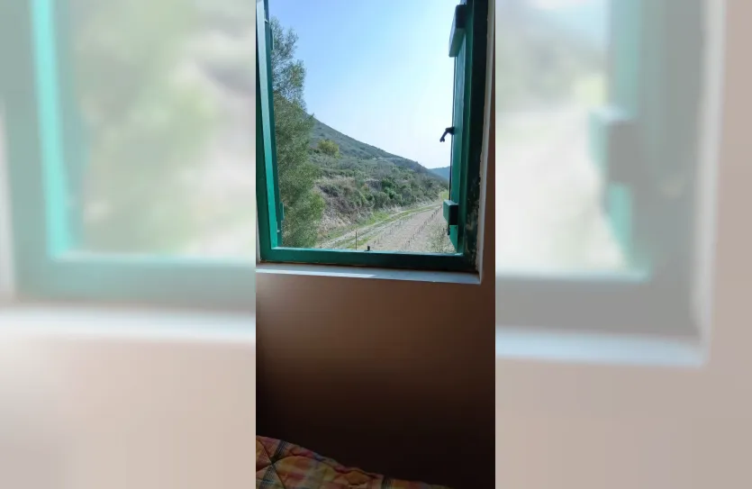 Vineyard with a house - 15419, photo 5