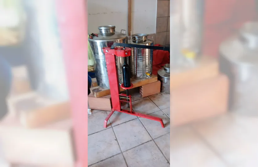 Vineyard with a house - 15419, photo 7