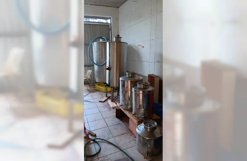 Vineyard with a house - 15419, photo 6