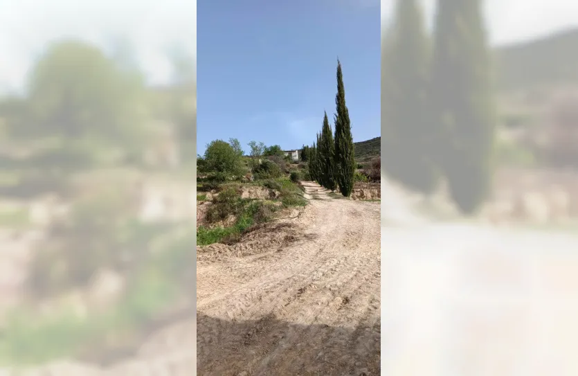 Vineyard with a house - 15419, photo 12