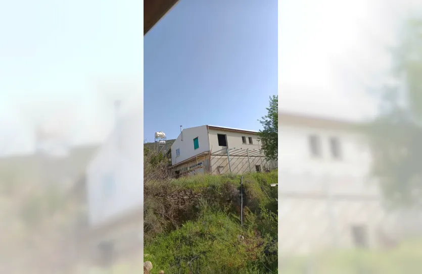 Vineyard with a house for sale - 15419