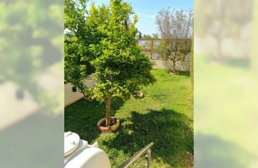 Дом с 4-мя спальнями - 15560, photo 6