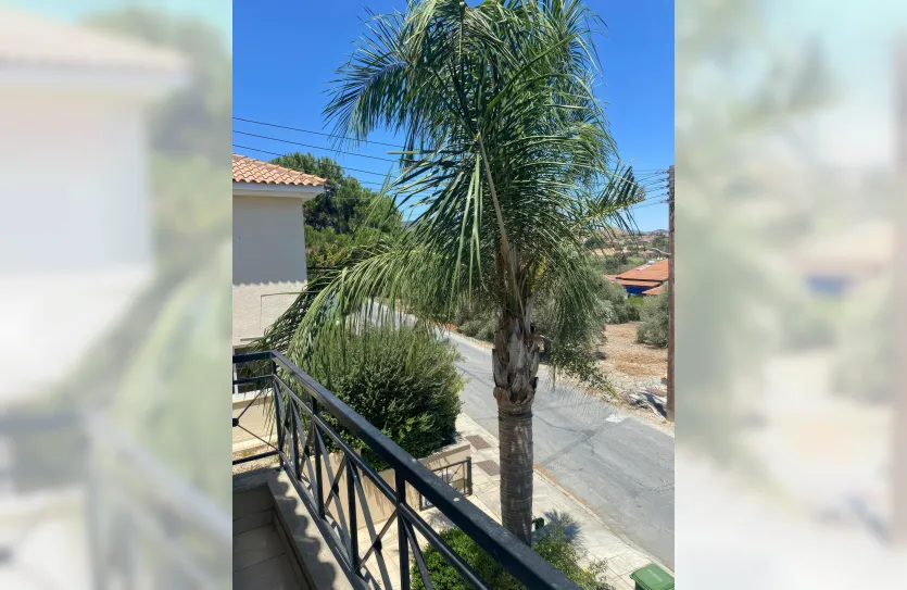 Дом с 3-мя спальнями - 15619, photo 22