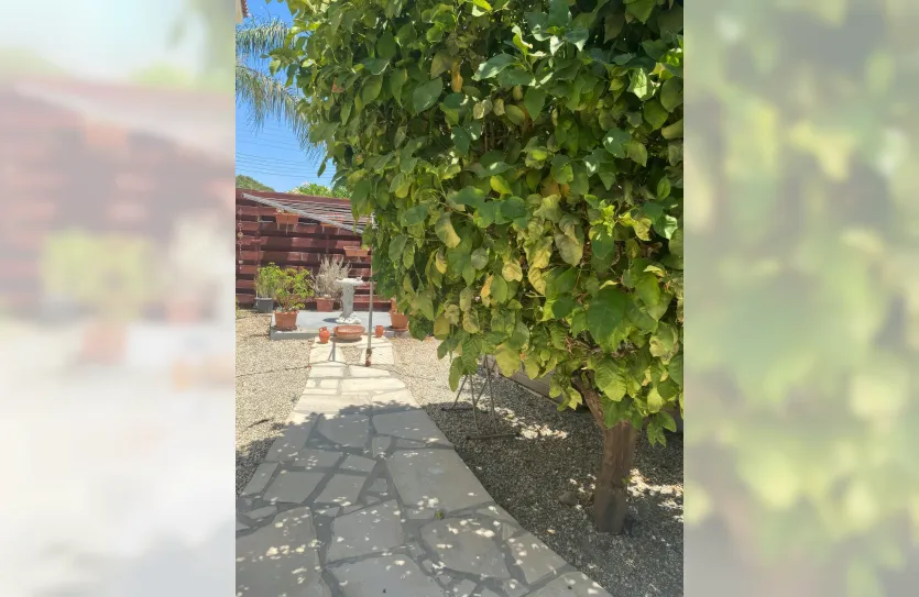 Дом с 3-мя спальнями - 15619, photo 23