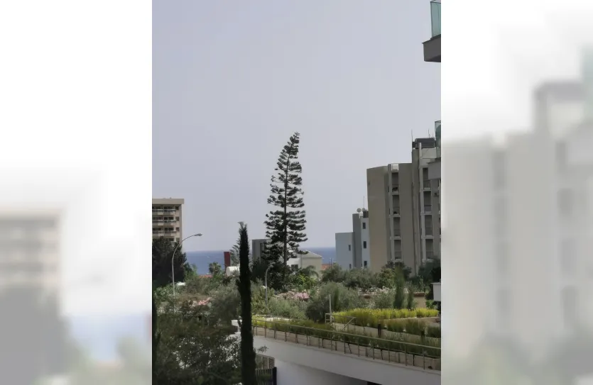 Квартира с 3-мя спальнями - 15659, photo 10