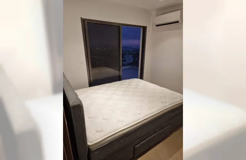 1-bedroom penthouse - 15753, photo 13