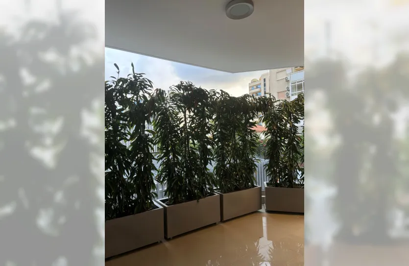 4-bedroom apartment - 15940, photo 5