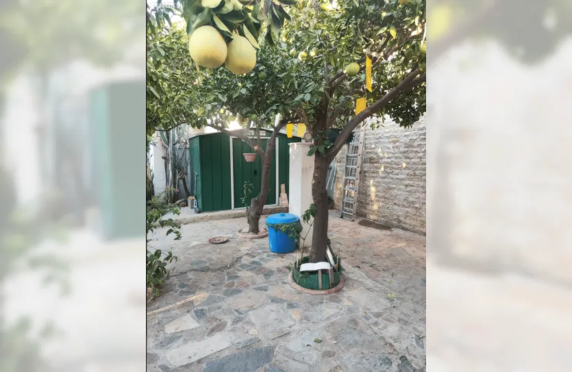 3-bedroom villa - 15947, photo 10