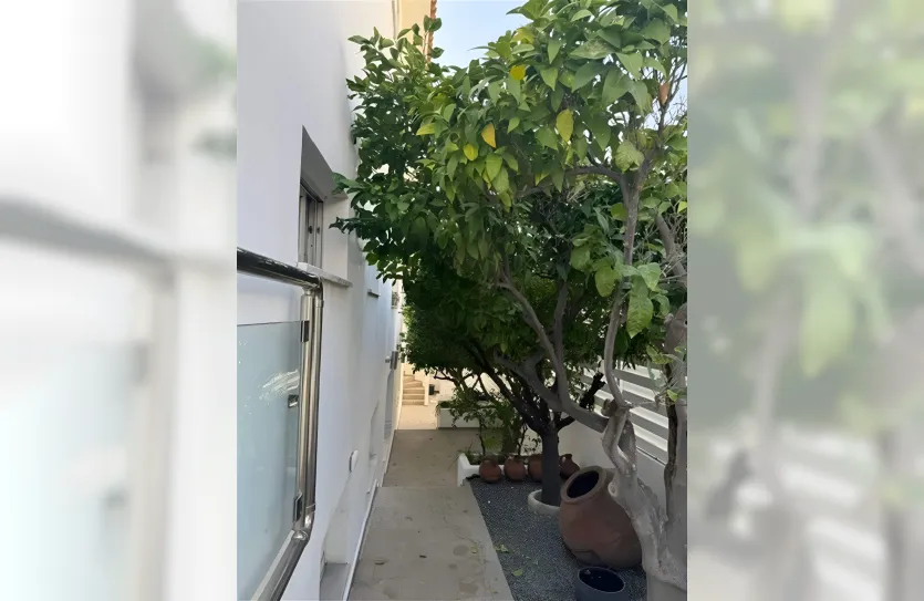 6-bedroom villa - 16002, photo 10