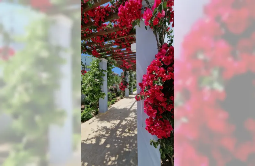 Квартира с 2-мя спальнями - 16208, photo 9