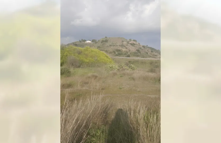 Земельный участок - 16222, photo 3