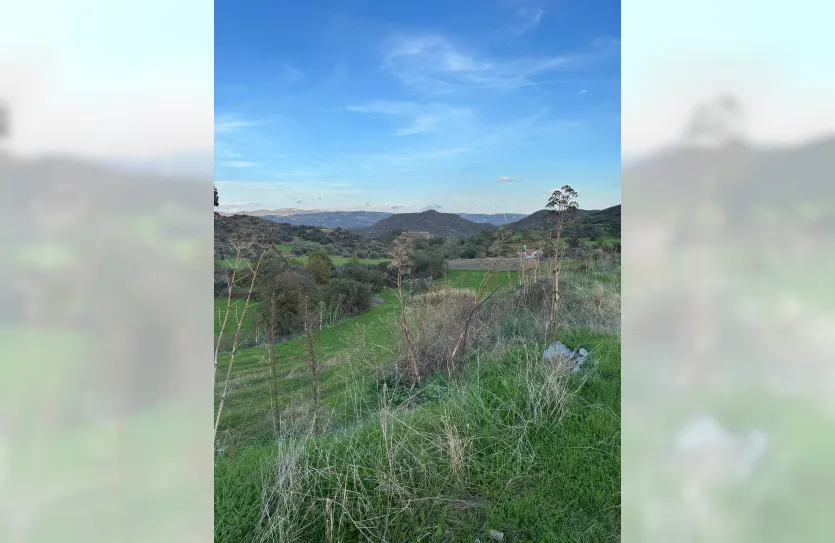 Plot with a traditional house - 16269, photo 21