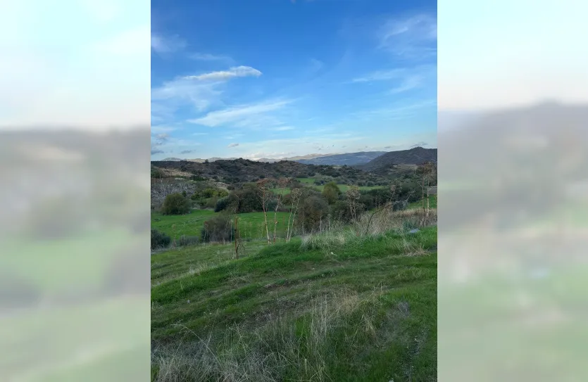 Plot with a traditional house - 16269, photo 19