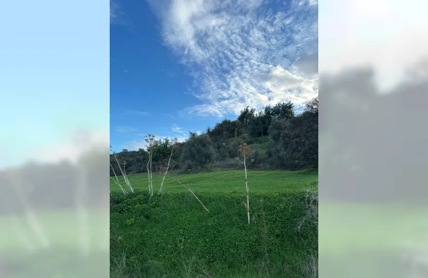 Plot with a traditional house - 16269, photo 18