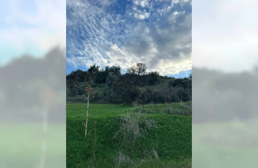 Plot with a traditional house - 16269, photo 17