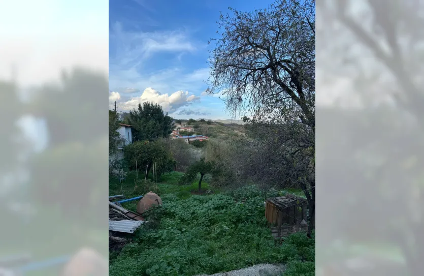 Plot with a traditional house - 16269, photo 16