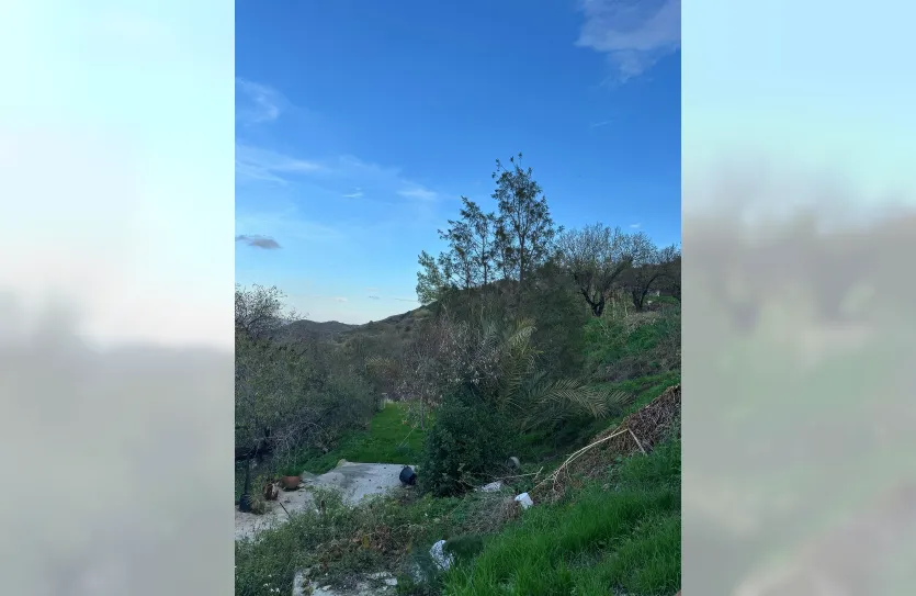 Plot with a traditional house - 16269, photo 14