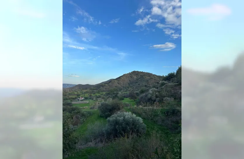 Plot with a traditional house - 16269, photo 23