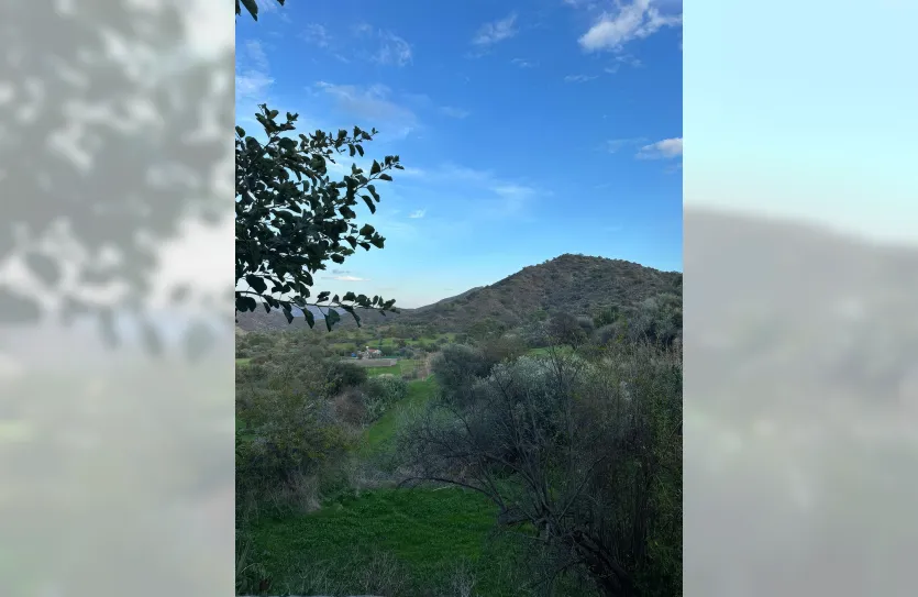 Plot with a traditional house - 16269, photo 24