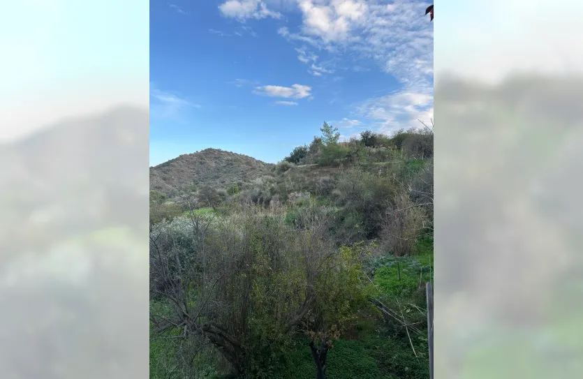 Plot with a traditional house - 16269, photo 25