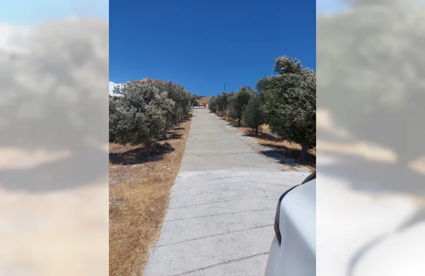 4-bedroom villa - 16477, photo 26