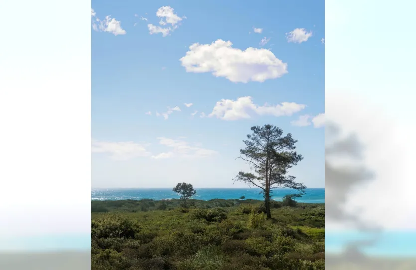 4-bedroom villa - 16637, photo 14