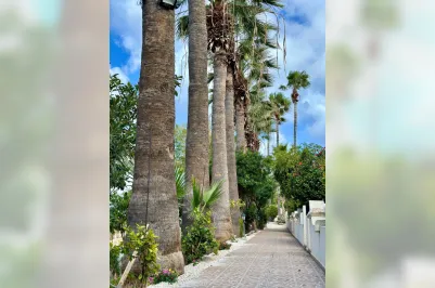 Таунхаус с 2-мя спальнями - 16754, photo 2