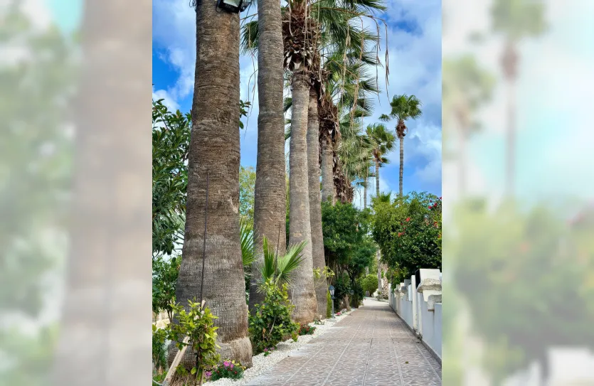 Таунхаус с 2-мя спальнями - 16754, photo 3