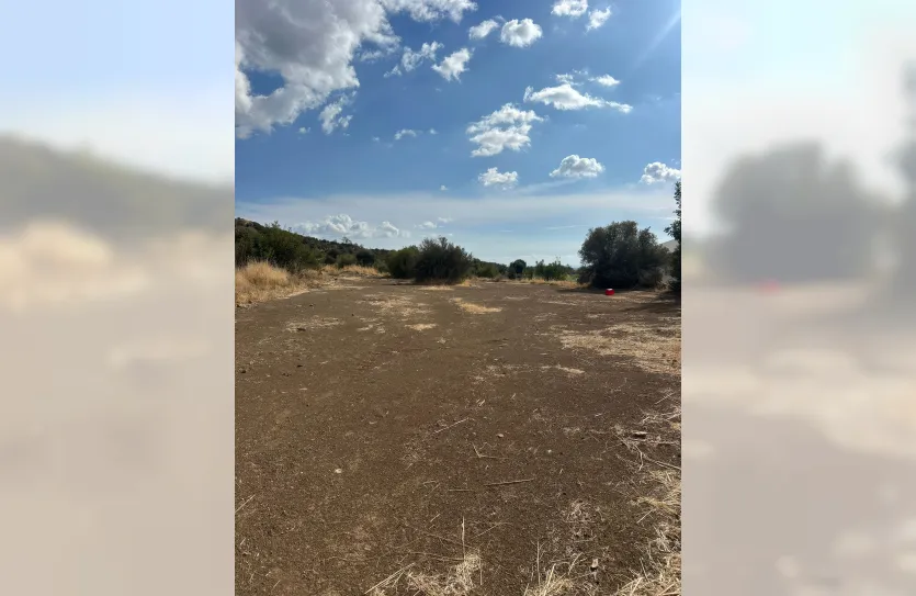 Сельскохозяйственный участок - 17750, photo 2