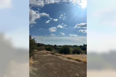 Сельскохозяйственный участок - 17750, photo 2