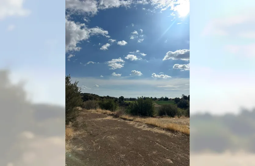 Сельскохозяйственный участок - 17750, photo 3