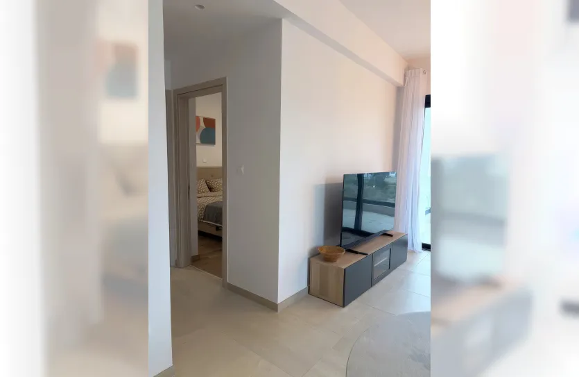 Апартамент с 1-ой спальней - 17931, photo 7