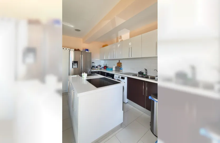 3-bedroom penthouse - 18806, photo 3