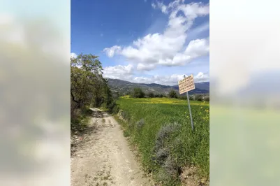 Land - 18804, photo 1