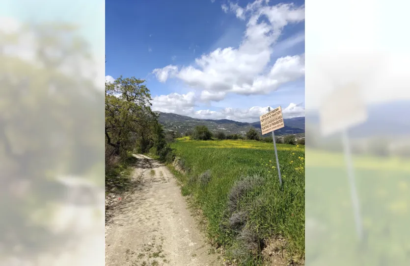 Land - 18804, photo 2